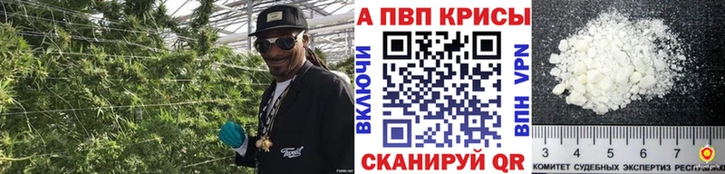 A PVP крисы CK Шали