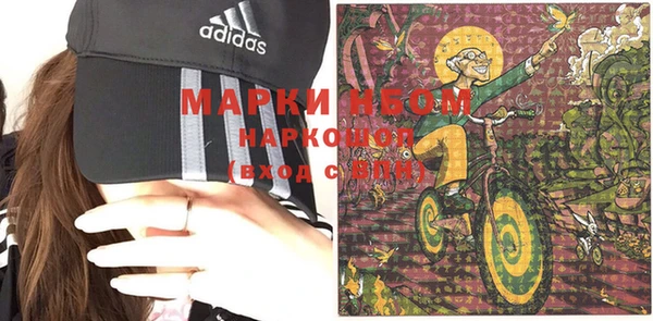 шишки Магас
