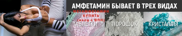 шишки Магас