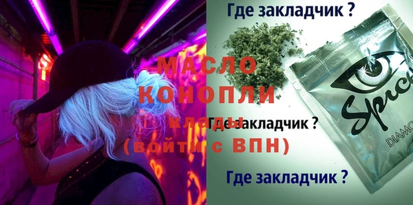 шишки Магас