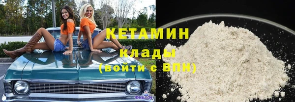шишки Магас