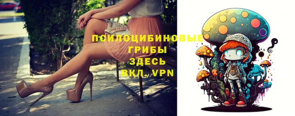дмт Мегион