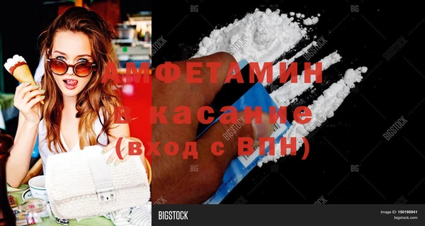 шишки Магас