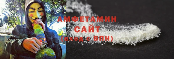 шишки Магас