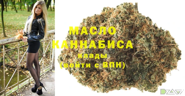 шишки Магас