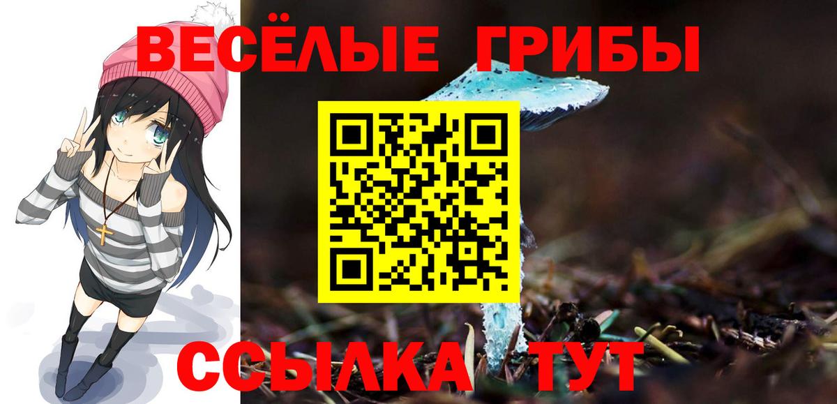 Шали  Галлюциногенные грибы Magic Shrooms  Вход с VPN 
